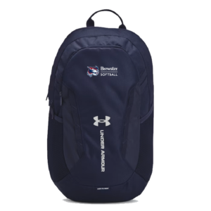 Under Armour Hustle 6.0 BACKPACK