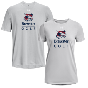 Under Armour Mod Grey SHORT Sleeve TECH Tee