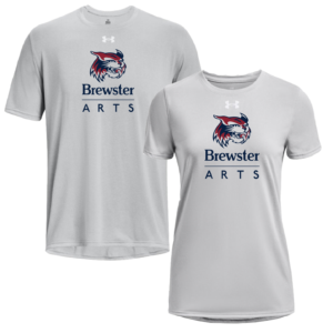 Under Armour Mod Grey SHORT Sleeve TECH Tee