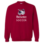 Classic CREWNECK Sweatshirt