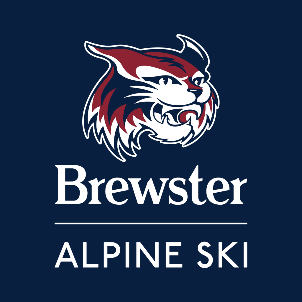 alpine ski