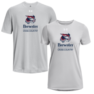 Under Armour Mod Grey SHORT Sleeve TECH Tee