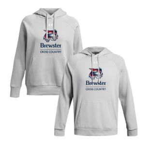Under Armour Icon Fleece Hoodie