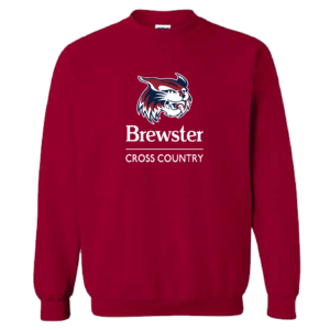 Classic CREWNECK Sweatshirt
