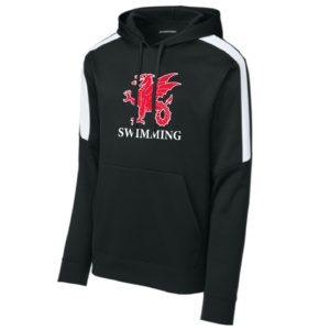 Striped Sleeve Performance Hoody