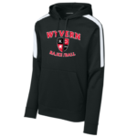 Striped Sleeve Performance Hoody