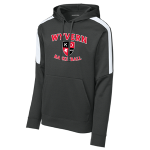 Striped Sleeve Performance Hoody