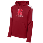 Striped Sleeve Performance Hoody